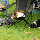 Agility H__chst 23-06-2013 38_jpg-1372319805