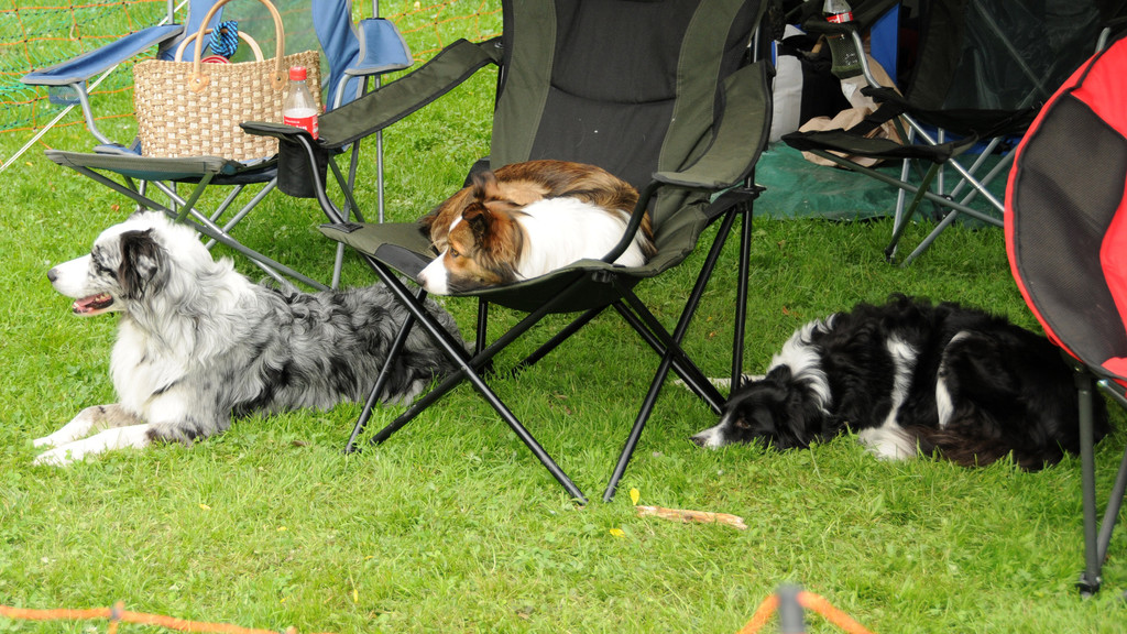 Agility H__chst 23-06-2013 38_jpg-1372319805