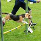 Agility H__chst 23-06-2013 47_jpg-1372319829