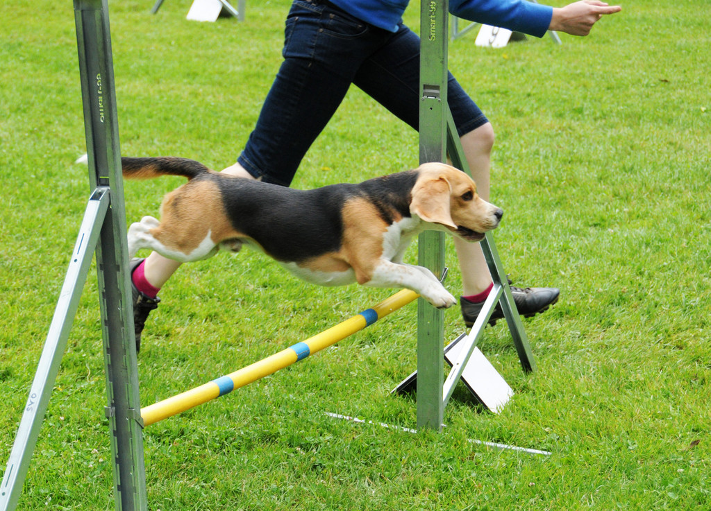 Agility H__chst 23-06-2013 47_jpg-1372319829