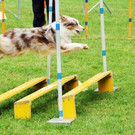 Agility H__chst 23-06-2013 50_jpg-1372319844