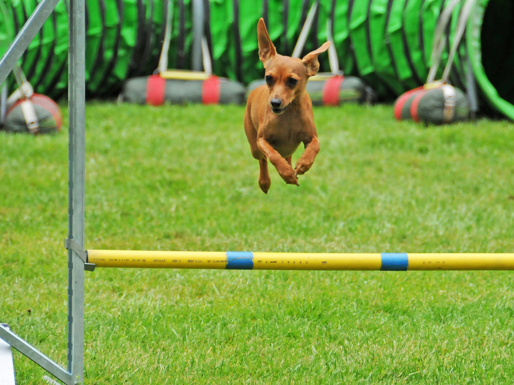 Agility H__chst 23-06-2013 63_jpg-1372319864