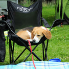 Agility H__chst 23-06-2013 70_jpg-1372319871