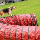 Agility H__chst 23-06-2013 71_jpg-1372319884