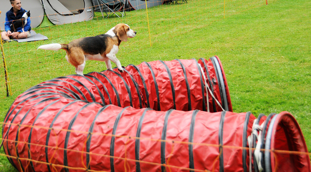 Agility H__chst 23-06-2013 71_jpg-1372319884