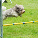 Agility H__chst 23-06-2013 77_jpg-1372319893