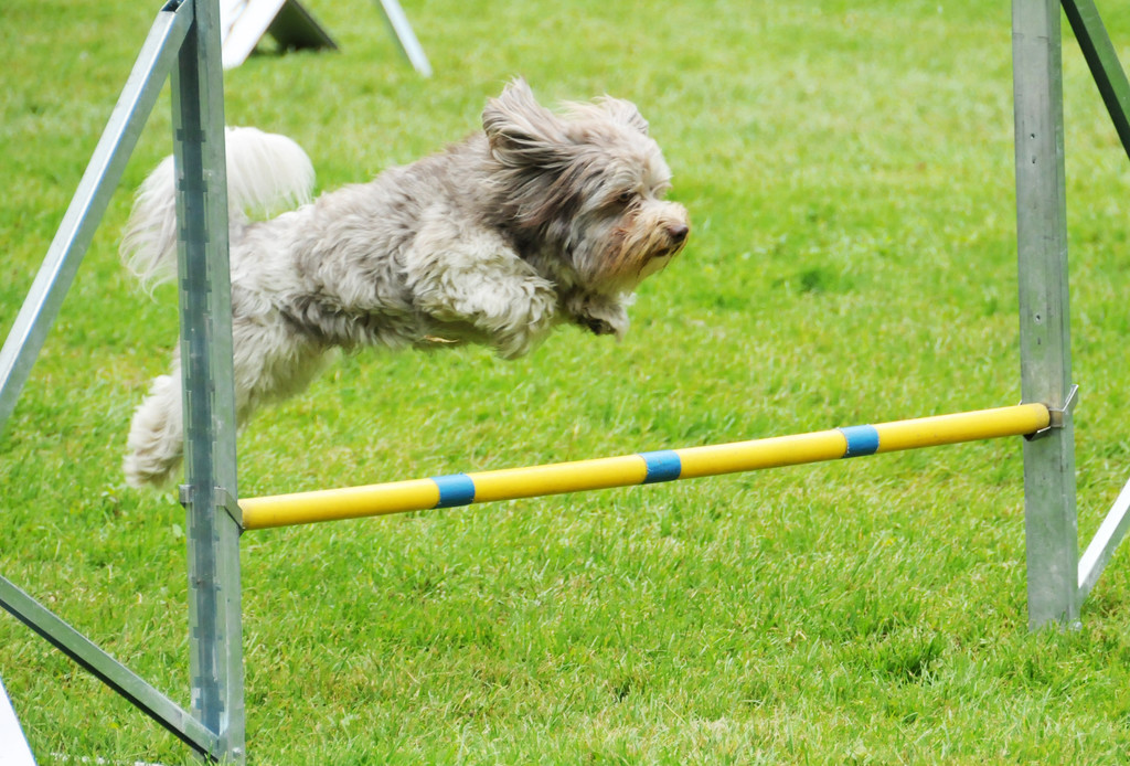 Agility H__chst 23-06-2013 77_jpg-1372319893