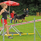 Agility H__chst 23-06-2013 113_jpg-1372319912