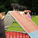 Agility H__chst 23-06-2013 119_jpg-1372319919