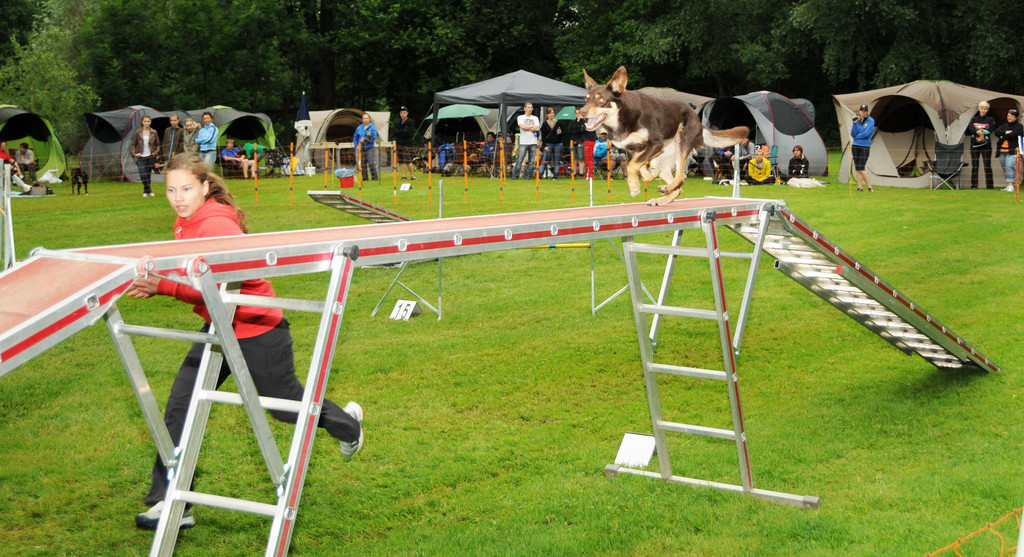 Agility H__chst 23-06-2013 120_jpg-1372319928