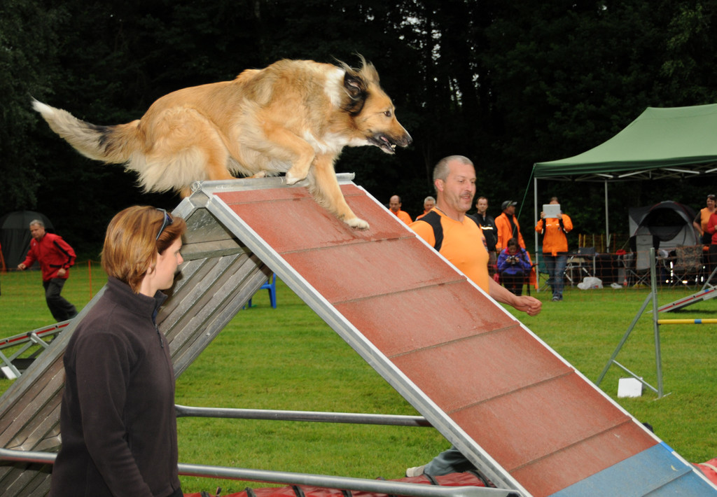 Agility H__chst 23-06-2013 128_jpg-1372319943