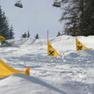 normal_04032010Boardertaaktivnews_19.jpg
