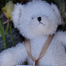 IBD0265-20130626.jpg