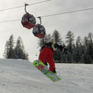 normal_04032010Boardertaaktivnews_70.jpg