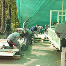 IMG_6263.jpg
