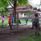 CIMG9382_JPG-1372362431