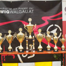 pokale_jpg-1372410814.jpg