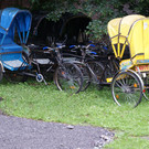 DSC00353_JPG-1372415122