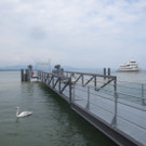 Senioren Schifffahrt FN 2013 _4__jpg-1372417865