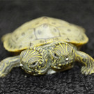 Die beeindruckendsten Tierbilder KW 26
