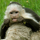 ABD0060-20130626.jpg