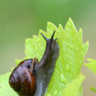 ABD0156-20130625.jpg