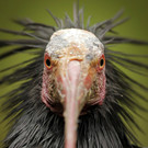 ABD0010-20130624.jpg