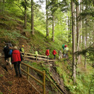KAW2013Eroeffnung-sZech-9.jpg