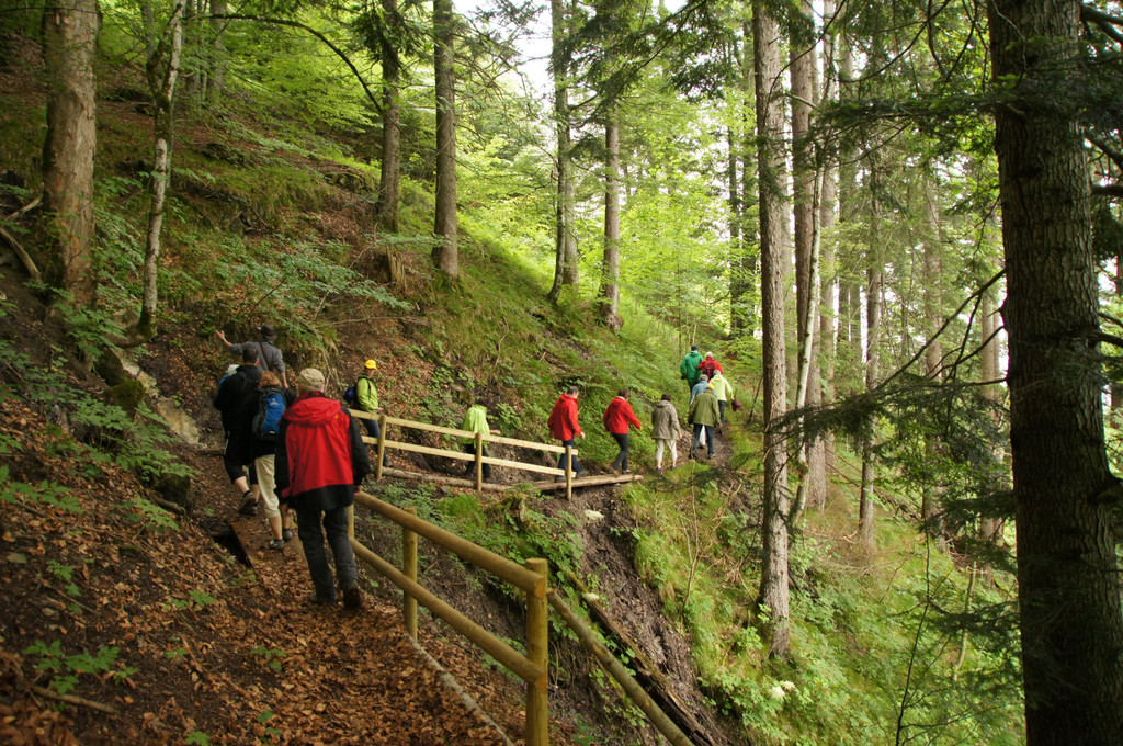 KAW2013Eroeffnung-sZech-9.jpg