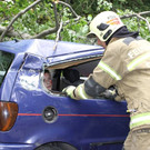 f464db0254.jpg