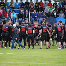 Pinzgau Devils in Action