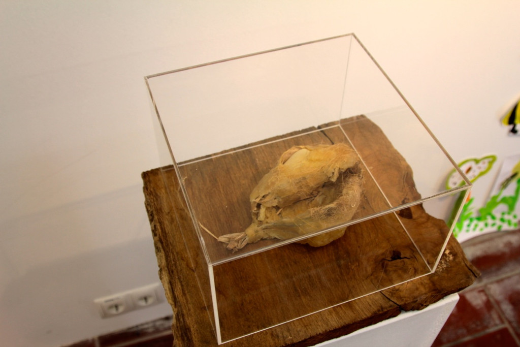 KOE_Ausstellung Stirbt der Bien 33_jpg-1372510215