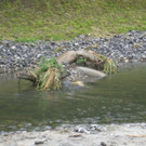 Retentionsbecken42.JPG