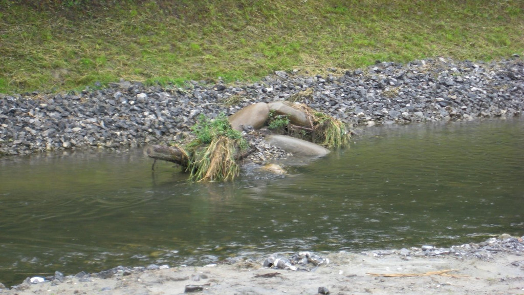 Retentionsbecken42.JPG