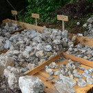 Ruine58.JPG