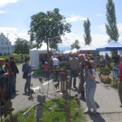 Kunstmarkt am See 2013 _6__jpg-1372597955