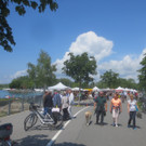Kunstmarkt am See 2013 _20__jpg-1372598048