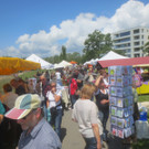 Kunstmarkt am See 2013 _29__jpg-1372598101