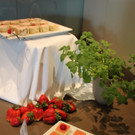 Seehotel BARBECUE Termin 2013 _15__jpg-1372602694