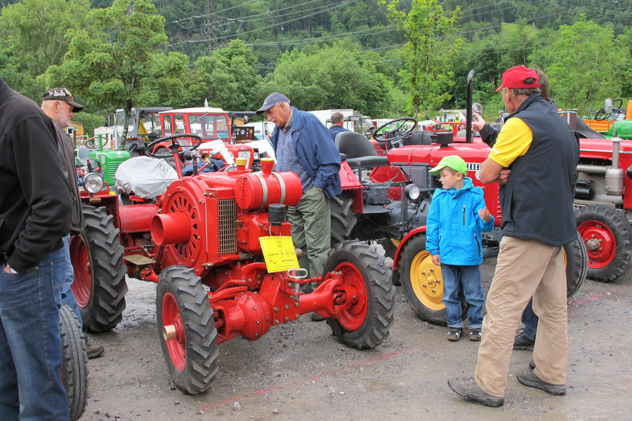 IMG_5302_JPG-1372609538