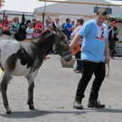 IMG_5372_JPG-1372617449