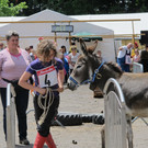 IMG_5384_JPG-1372617572