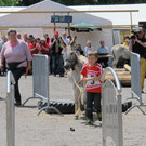 IMG_5389_JPG-1372617657