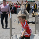 IMG_5390_JPG-1372617742