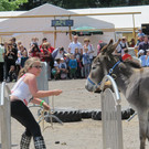 IMG_5410_JPG-1372617796