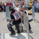 IMG_5420_JPG-1372617980
