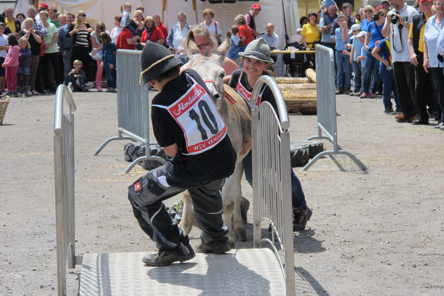 IMG_5420_JPG-1372617980