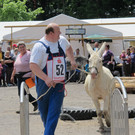 IMG_5424_JPG-1372618030