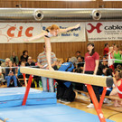 Turnfest H__chst 30-06-13 15_jpg-1372619368