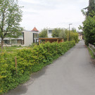 Klosterreben_2_JPG-1372621394